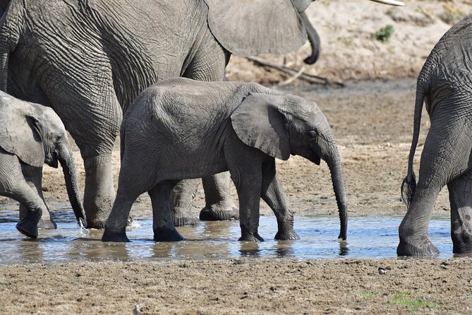 Tanzania Wildlife Cultural Safari from Arusha. - Why this route works for a first Tanzania safari