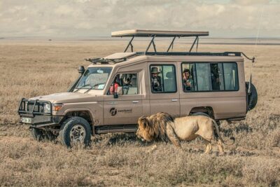 Tanzania Wildlife Encounters – 6 Days