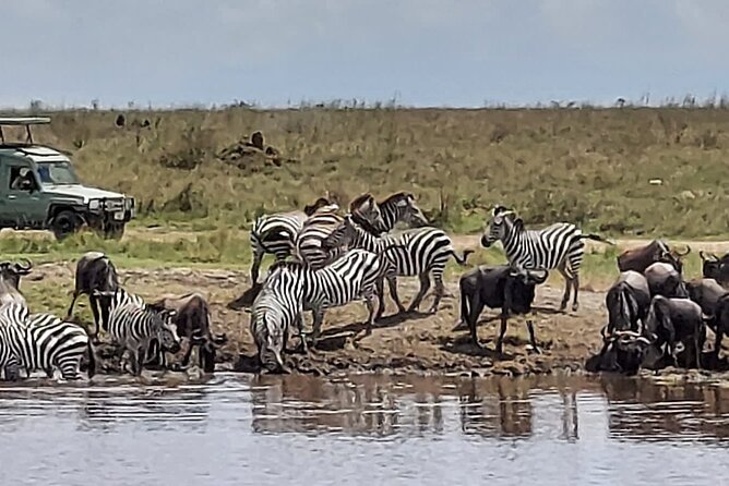 Tanzania Wildlife Safari Budget Camping - Why this five-day route works