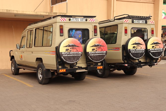 Tarangire National Park Day Trip - The main drawback: a long day on the road