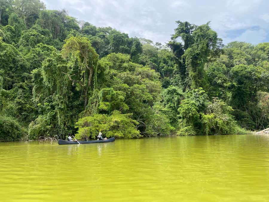 Tengeru Waterfalls Adventure & Lake Duluti Canoeing Escape - What to bring for comfort and better sightings