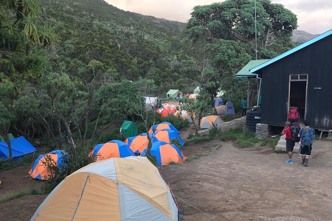 The 6 Days Kilimanjaro Climbing Tour via Machame Route in 2025/26 - Day six: Mweka Gate and the return to Moshi