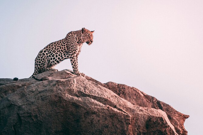The Best 2-Days 1-night Tanzania Budget Group Joining Safari Tour - Leaving Arusha at 7:00 a.m. for Tarangire