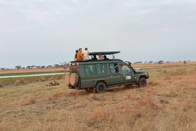 The Best 3Days Start from Mwanza to Serengeti' through Viator - Day three: descending into Ngorongoro Crater