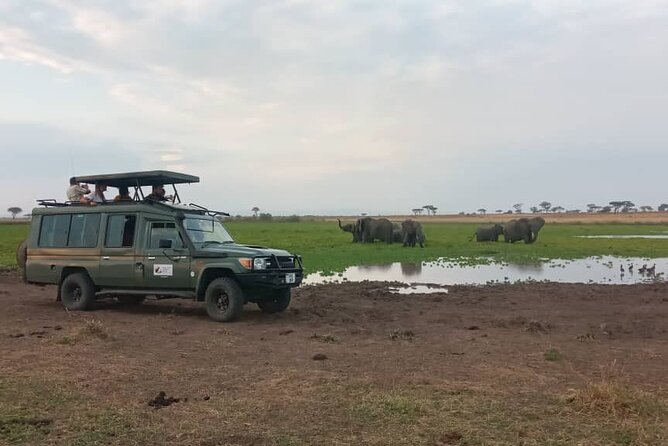 The Best 3Days Start from Mwanza to Serengeti' through Viator - What the private setup means in practice