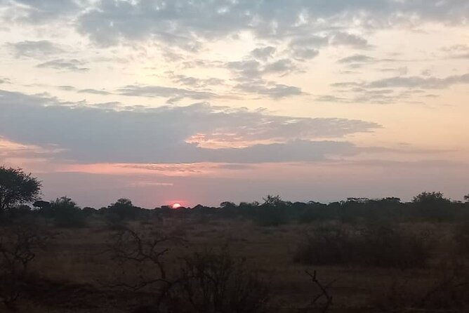 The Best 3Days Start from Mwanza to Serengeti' through Viator - Meals, lodging, and what the price covers