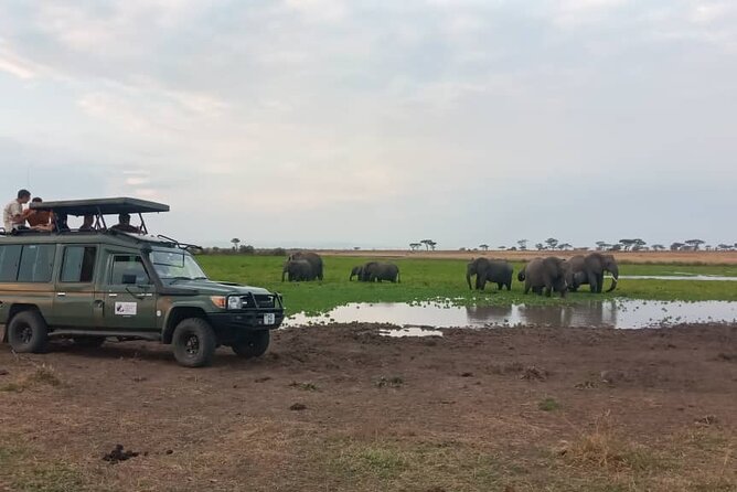 The Best 3Days Start from Mwanza to Serengeti' through Viator - Is $1,611.33 a fair value?