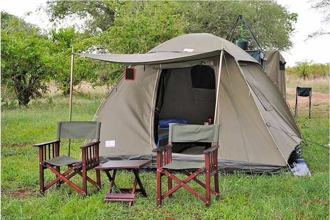 The Best 3Days Start from Mwanza to Serengeti' through Viator - Day two: Seronera and the central Serengeti