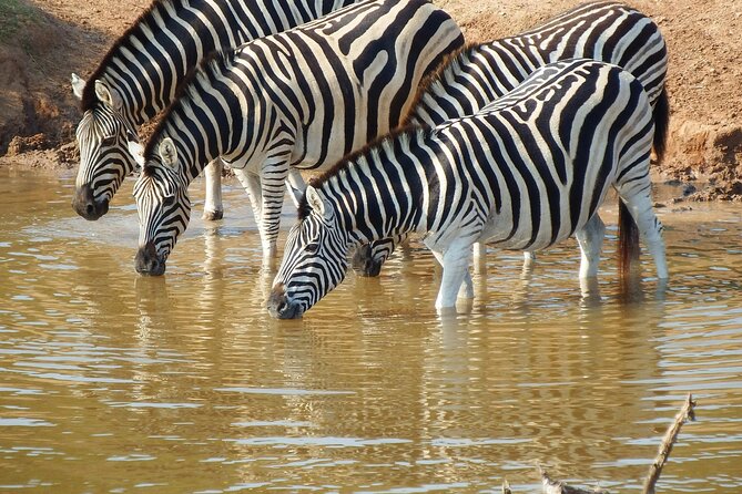 The Best 4 Days Serengeti & Ngorongoro Private Mid-range Safari - What this four-day safari is really offering