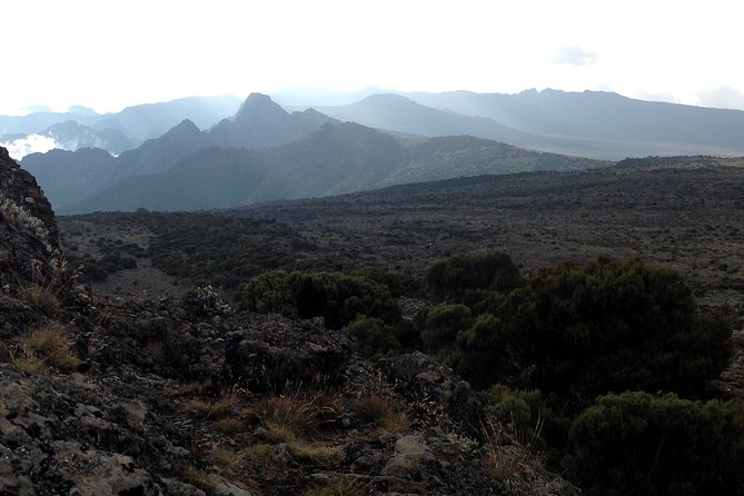 The best 6-Days Kilimanjaro hiking (Machame route)whiskey route - Day 5: The missing summit details you must confirm