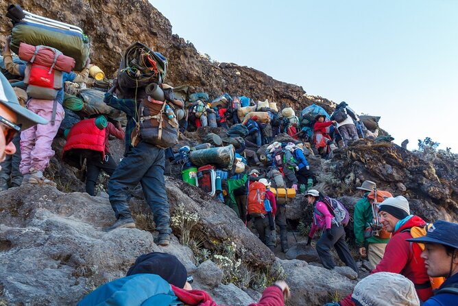 The best 6-Days Kilimanjaro hiking (Machame route)whiskey route - Day 6: Mweka Camp to the park gate