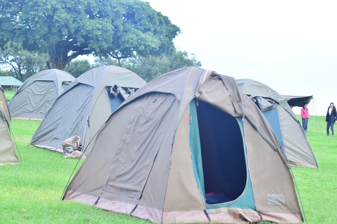 The Best and Most Affordable 4-Day Tanzania Budget Private Safari - Day 3: Down into Ngorongoro Crater