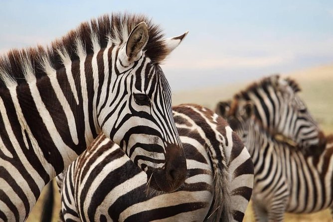 The best Selous 1 day safari from Zanzibar - The short flight to Mtemere airstrip