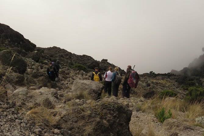 The Best & Unique Kilimanjaro Hiking tour 7 days Machame route - Day 6: Barafu Camp to Uhuru Peak and Mweka Camp
