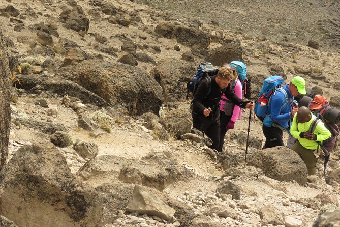 The Best & Unique Kilimanjaro Hiking tour 7 days Machame route - Day 7: Mweka Camp to Mweka Gate