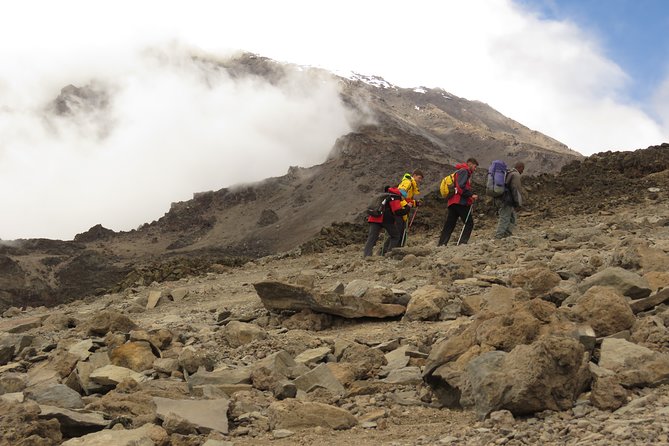 The Ultimate 8-day Lemosho route Climbing Kilimanjaro - Day 3: An easier crossing to Shira 2 Camp