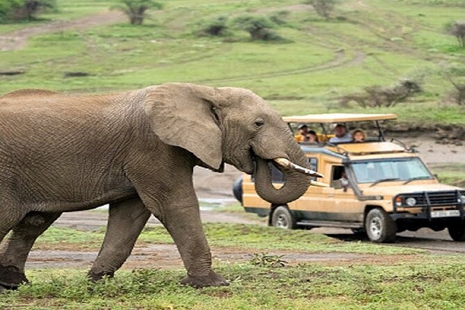 The World's Best 1 Day Tarangire Budget Group Safari From Arusha - The early drive from Arusha