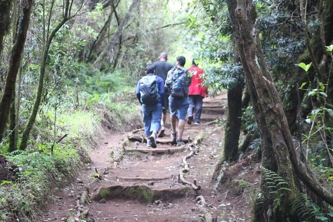 Top 5 Days Kilimanjaro Hiking | Climbing Tour by Marangu Route - Day 4: The midnight climb to Uhuru Peak
