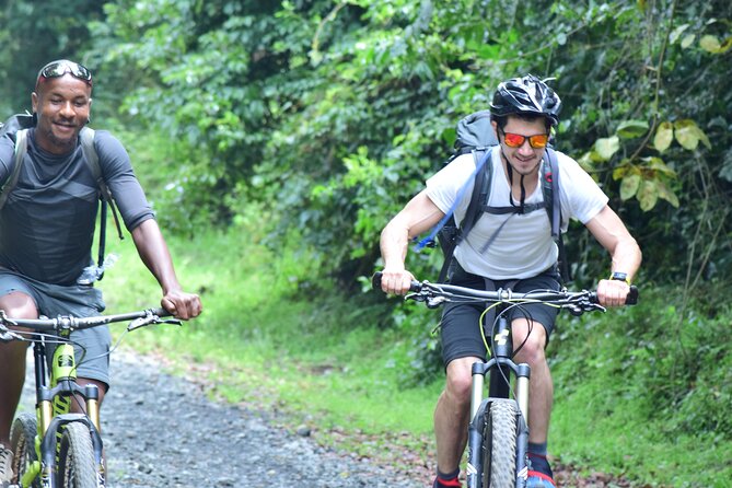 Top 6 Days Mt. Kilimanjaro Bike trek Tour by Marangu-Kilema Route - Scenery that changes with every climb