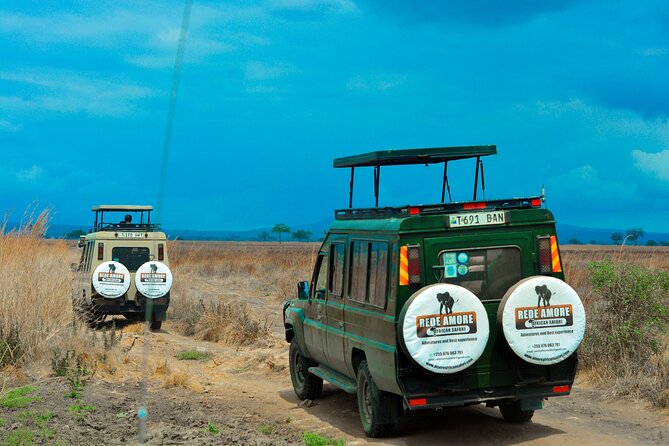 Top Best 5 Days Tanzania Luxury Safari to Serengeti - Day 1: Tarangire’s elephants and baobab country