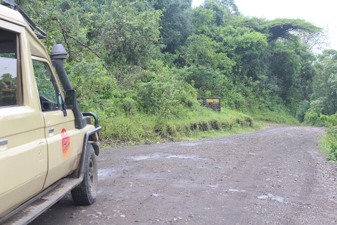 Tour at Arusha National Park - Momela Lakes bring color and birdlife potential
