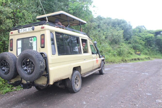 Tour at Arusha National Park - Ngurdoto Crater is the day’s big natural feature