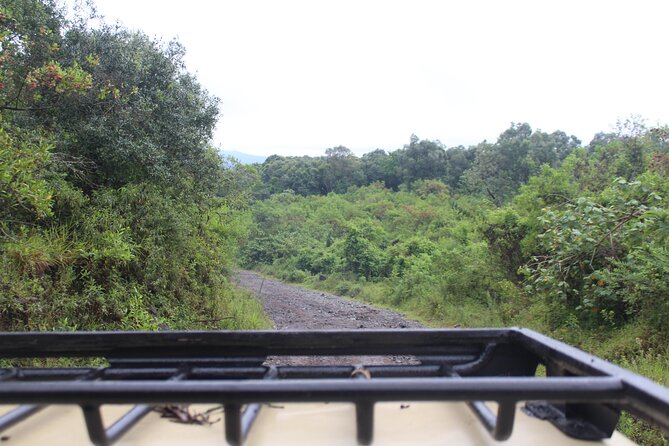 Tour at Arusha National Park - Morning and afternoon game drives