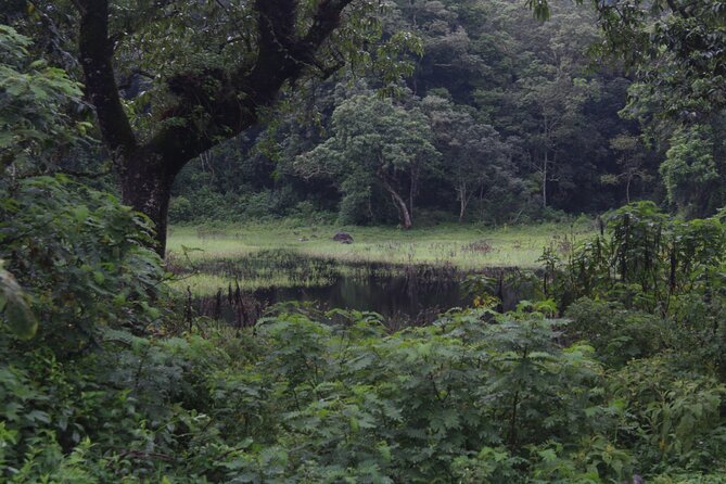 Tour at Arusha National Park - Optional walking and canoe safaris