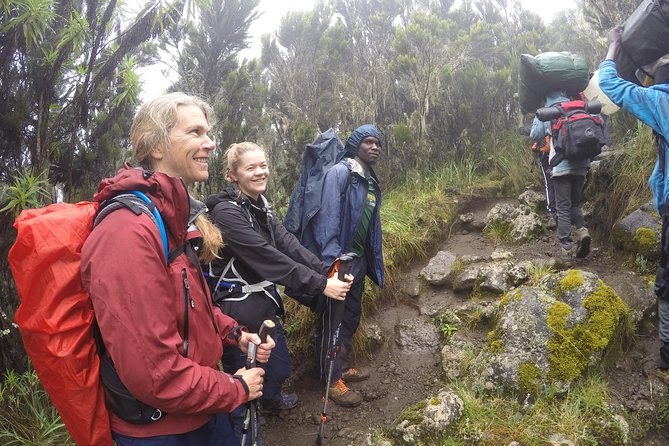 Trek To Mount Kilimanjaro - The second day: Mount Kilimanjaro and the summit question