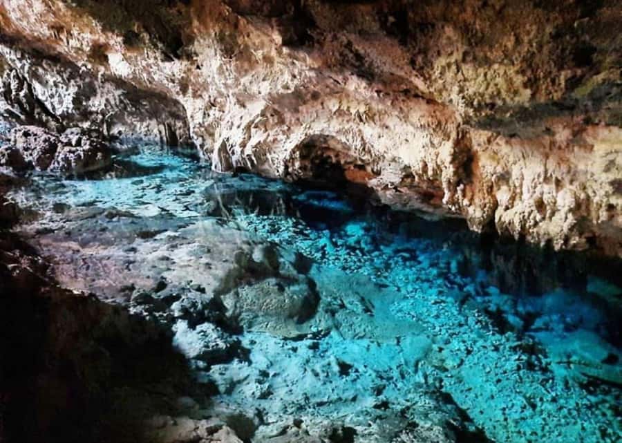 Turtle Snorkeling, Jozani Forest, Kuza Cave, Rock Restaurant - Practical details for a smoother day