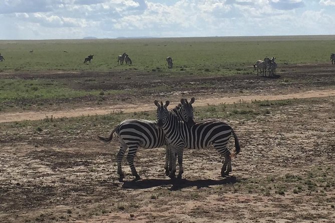 Ultimate Guide For The Best 4-Days Serengeti Safari in Tanzania - Five details that shape this safari