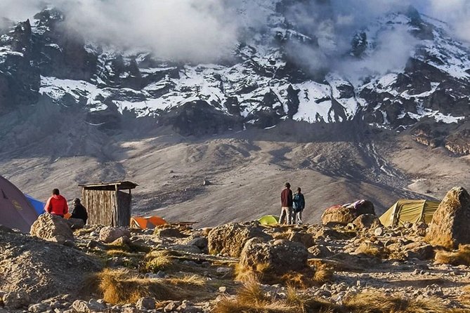 Unforgettable 8 Days Lemosho Route Trekking on Kilimanjaro - Day 3: A gentler Shira Plateau acclimatization day
