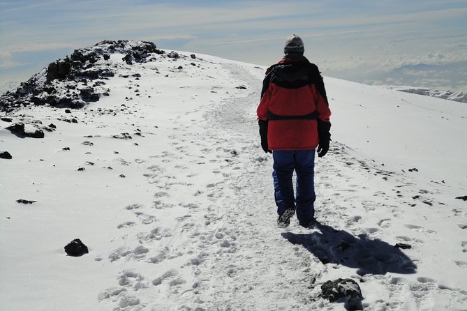 Unforgettable 8 Days Lemosho Route Trekking on Kilimanjaro - Day 2: Climbing through moorland to Shira One
