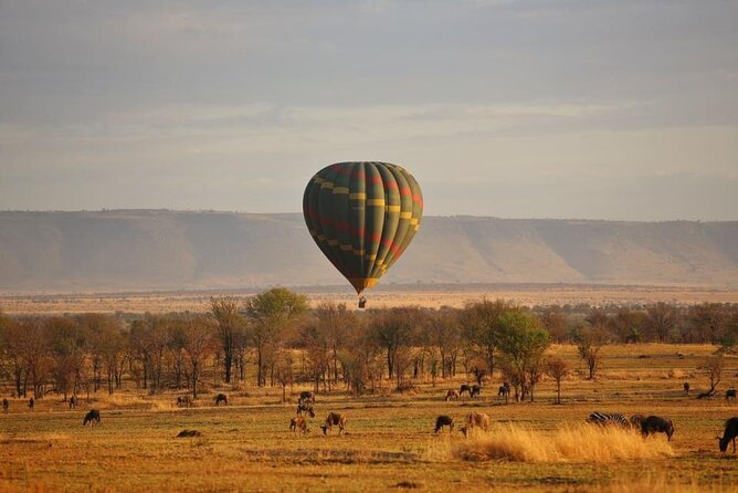 Unforgettable Tanzania Safari And Zanzibar Beach - From Kilimanjaro Airport to Arusha