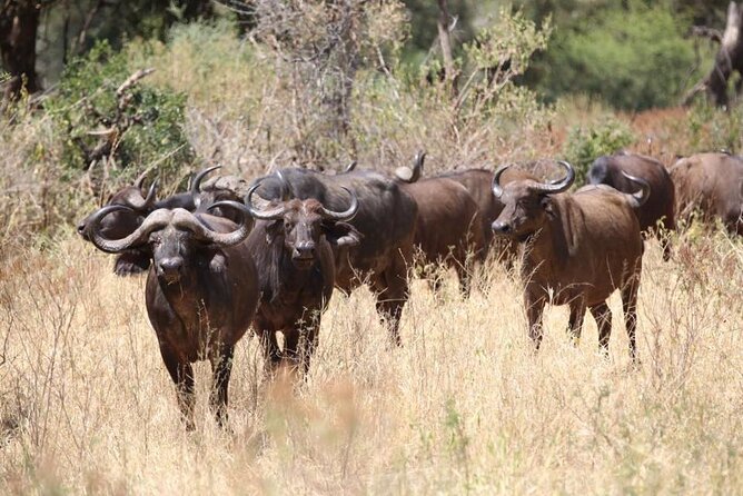 Unforgettable Tanzania Safari And Zanzibar Beach - Three quiet days on Zanzibar