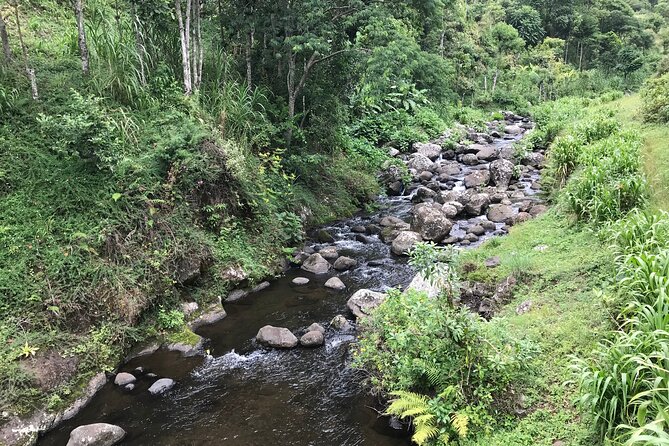 Unzip Hidden Tanzania's Attractions - Day One: Lake Duluti, Napuru Waterfalls, and Arusha Shopping
