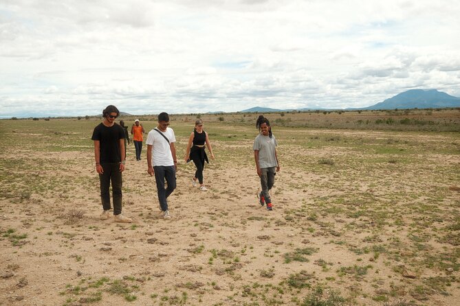 Walking Day Tour to Safari in Arusha National Park - Five things to know before booking