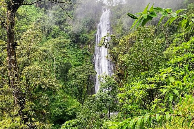 Waterfall, coffee tour & hot springs - lunch and drinks included - Traditional lunch and cold drinks