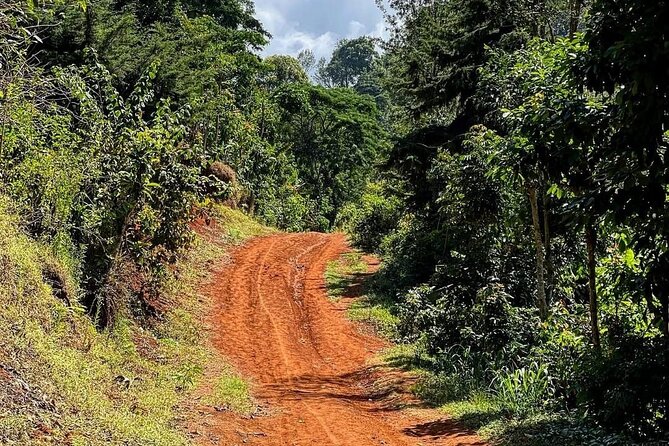 Waterfall, coffee tour & hot springs - lunch and drinks included - Timing, transport, and physical demands