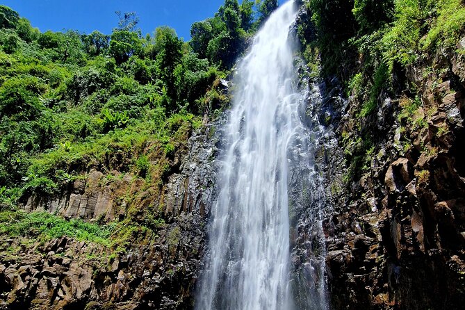 Waterfall, coffee tour & hot springs - lunch and drinks included - The $99 question: is it good value?