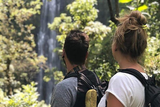 Waterfall & Coffee Walking Tour - Walking toward Materuni Waterfalls