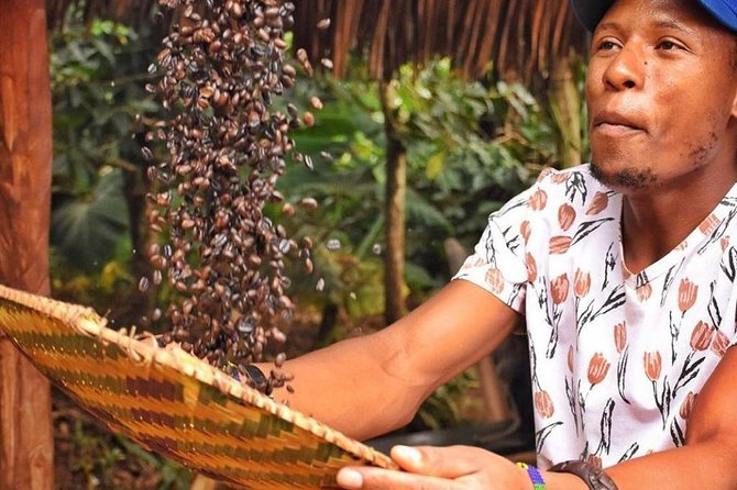 Waterfalls, Coffee, Hotsprings, Food Cuisine, & Serval Wildlife - Five things to know before you book