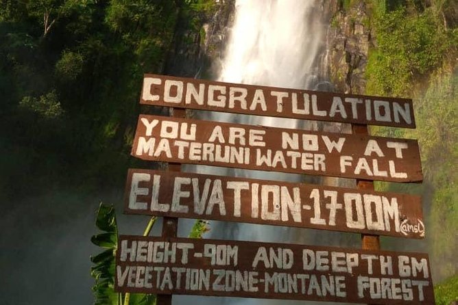 Waterfalls, Coffee, Hotsprings, Food Cuisine, & Serval Wildlife - The early start from central Arusha
