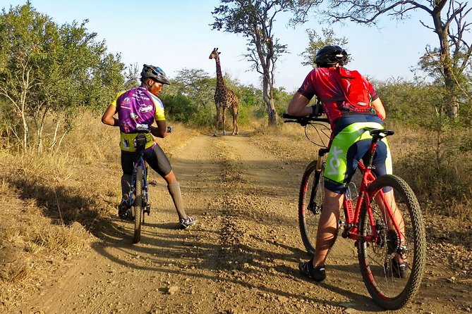 West Kilimanjaro cycling Adventures - Why West Kilimanjaro works so well by bicycle