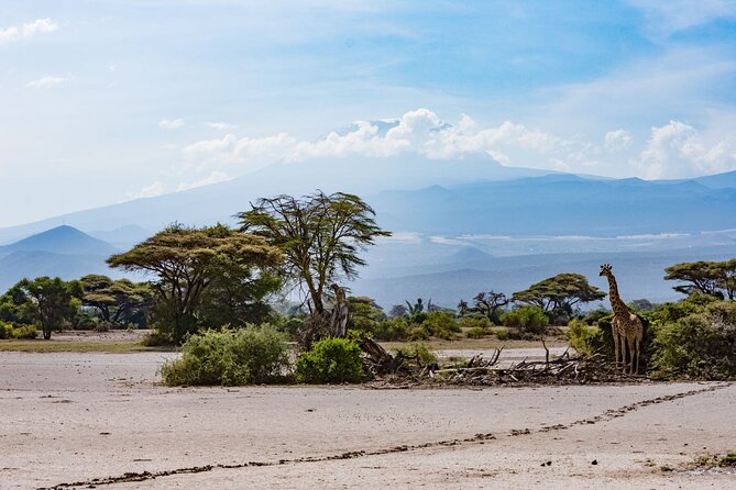 West Kilimanjaro cycling Adventures - Wildlife sightings from a saddle