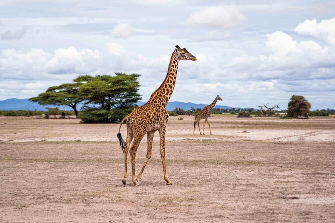 West Kilimanjaro cycling Adventures - Fitness, equipment, and the sandy sections