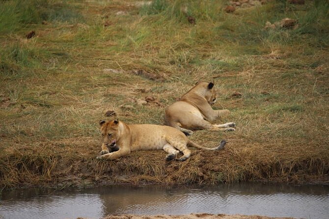 Wildlife Extravaganza: Manyara, Tarangire & Ngorongoro in 3 Days - Why This Three-Day Route Works