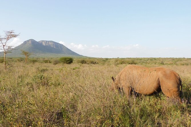 Wildlife Safari Tanzania - Day three: a full game-drive day in northern Serengeti