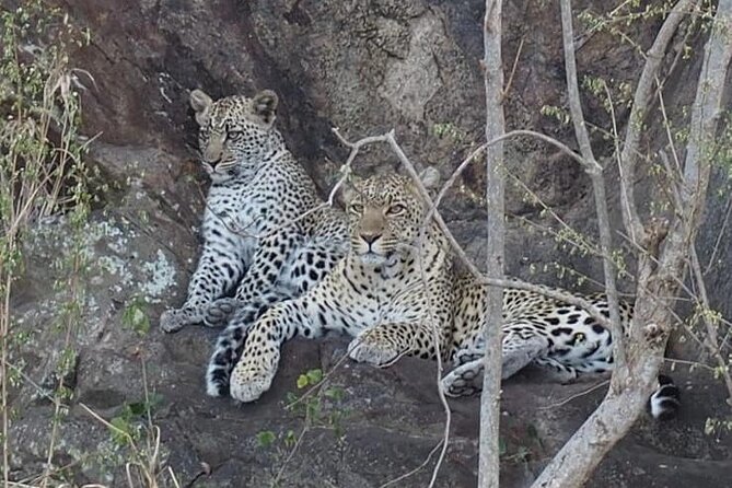 Wildlife Safari Tanzania - Day one: Lake Manyara after the airport pickup