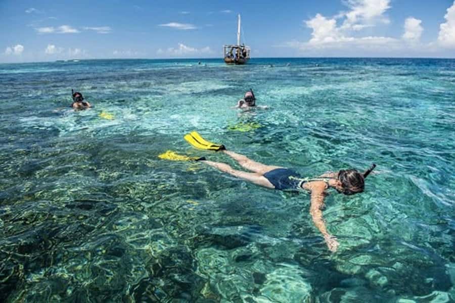 Zanzibar : 1 Day Blue Safari, Blue horizon experience - From your hotel to Fumba in about an hour